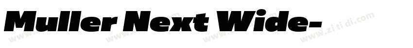 Muller Next Wide字体转换